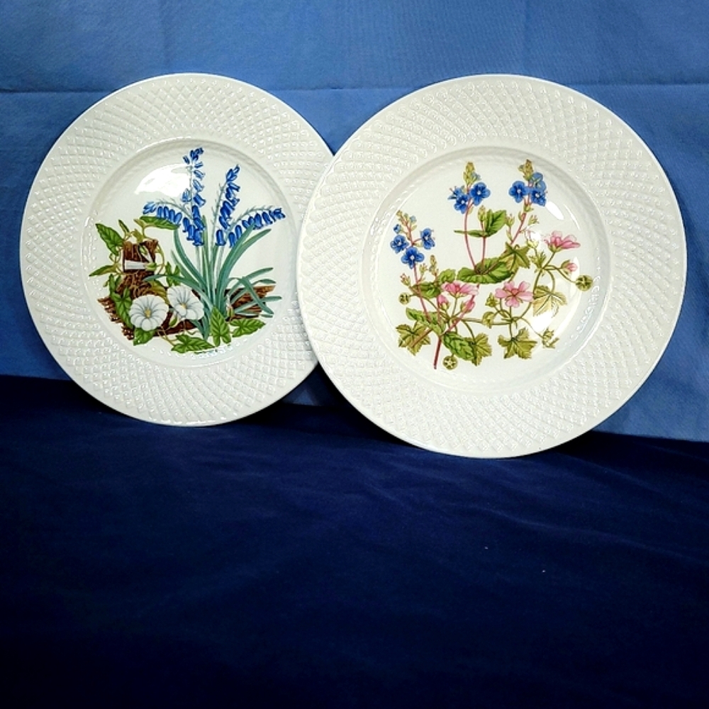 Spode Mansard SP160 Luncheon Collectible Plates